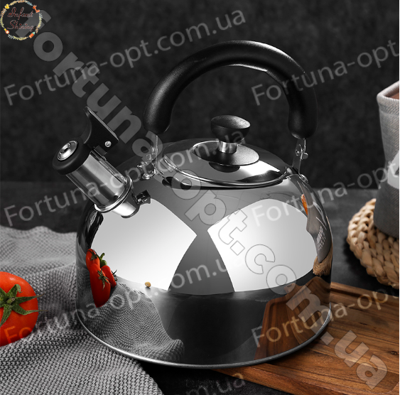 Чайник нержавеющий дешевый A-Plus - 1321 - 2,5 л ✅ базовая цена $6.52 ✔ Опт ✔ Скидки ✔ Заходите! - Интернет-магазин ✅ Фортуна-опт ✅